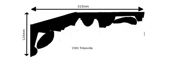 C301 Tritonville - Image 2
